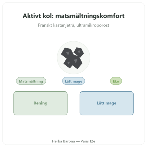 Aktivt växtkol 120 g i pulverform – Dynveo presentation Paris Herba Barona