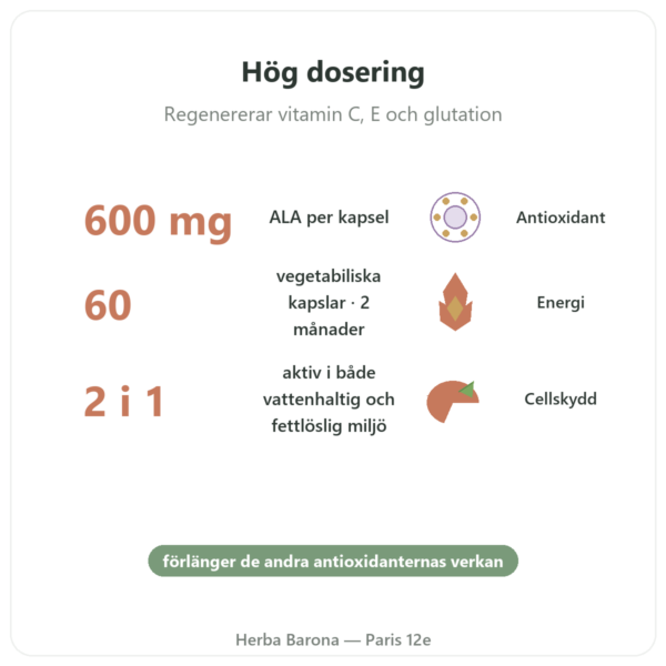 Alfaliponsyra 600 mg 60 kapslar Doctor's Best fördelar och nyckelfakta Paris Herba Barona