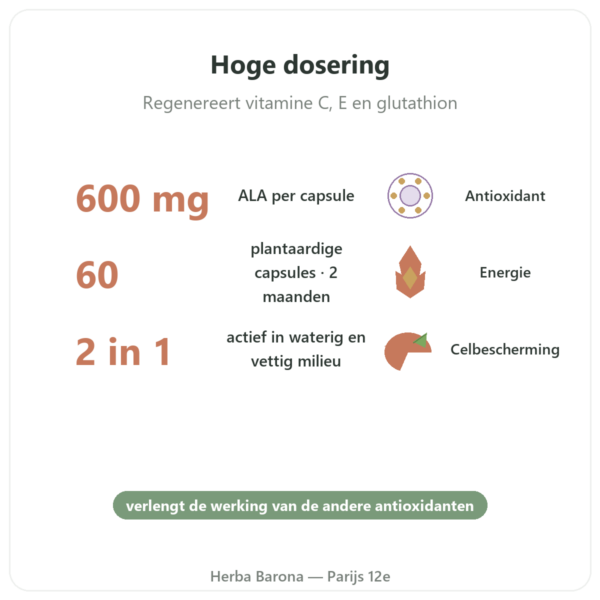 Alfaliponzuur 600 mg 60 capsules Doctor's Best voordelen en kerngegevens Paris Herba Barona