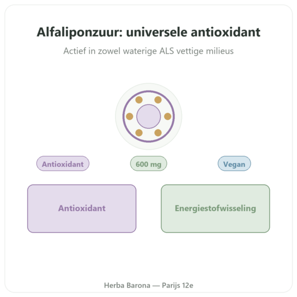 Alfaliponzuur 600 mg 60 capsules Doctor's Best presentatie Paris Herba Barona