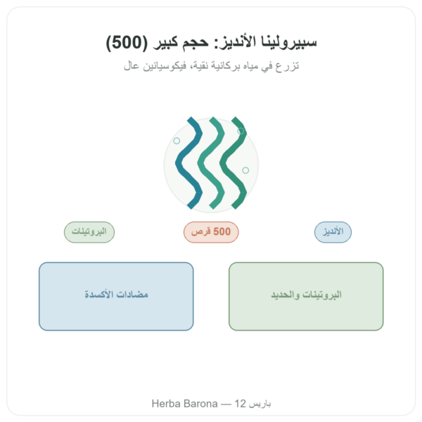 سبيرولينا Algue Bleue des Andes – 500 قرص عرض المنتج Paris Herba Barona