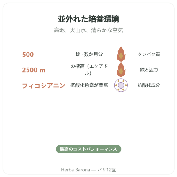 スピルリナ アンデスの青い藻 500粒 benefits and key facts Paris Herba Barona