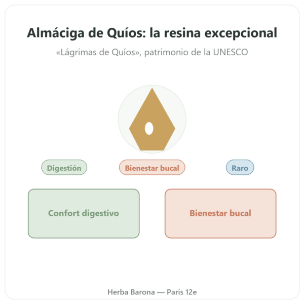 Almáciga de la Isla de Chíos – 10 g presentación Paris Herba Barona