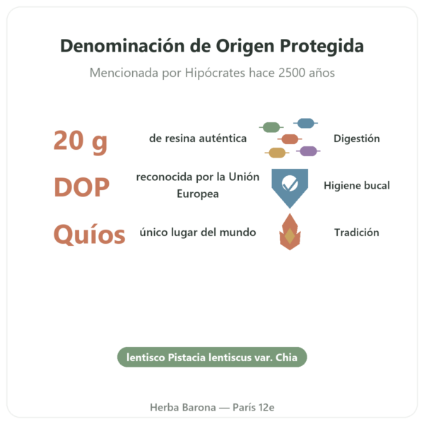 Almáciga de la Isla de Chíos – 20 g beneficios y datos clave Paris Herba Barona