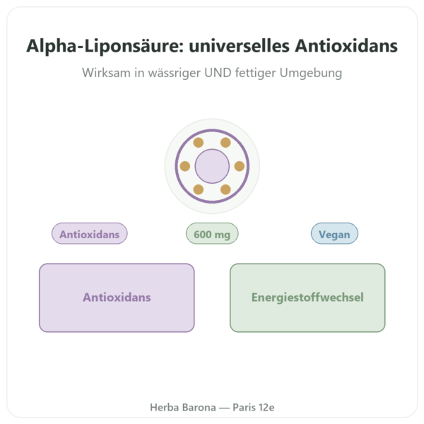Alpha-Liponsäure 600 mg – 60 Kapseln – Doctor's Best Vorstellung Paris Herba Barona
