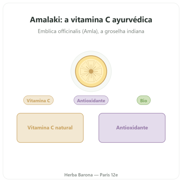 Amalaki Bio – Ayur-vana – 60 cápsulas apresentação Paris Herba Barona