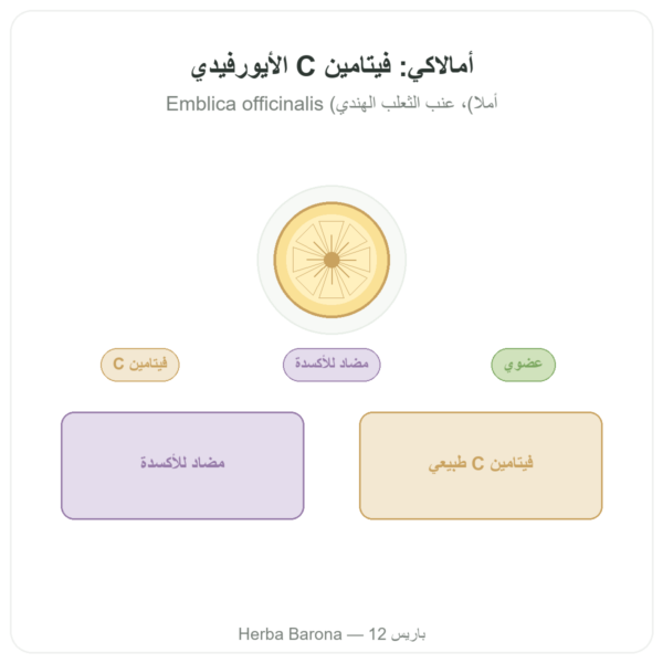 أمالاكي عضوي – Ayur-vana – 60 كبسولة عرض المنتج Paris Herba Barona