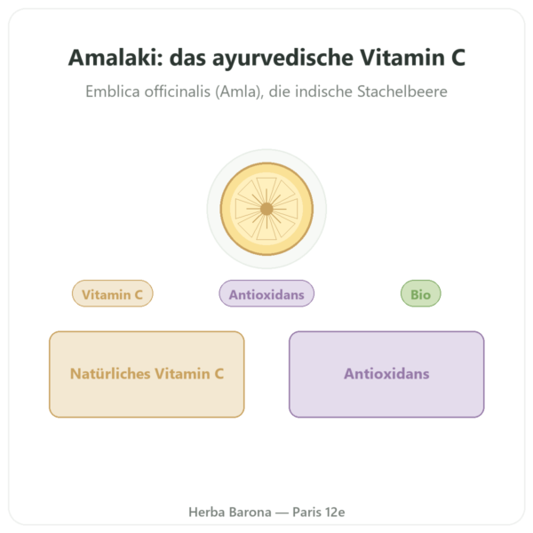 Amalaki Bio – Ayur-vana – 60 Kapseln Vorstellung Paris Herba Barona