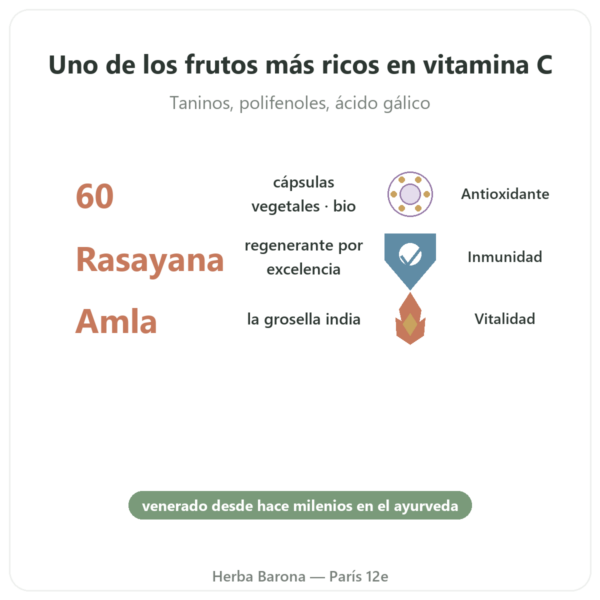 Amalaki Bio – Ayur-vana – 60 Cápsulas beneficios y datos clave Paris Herba Barona
