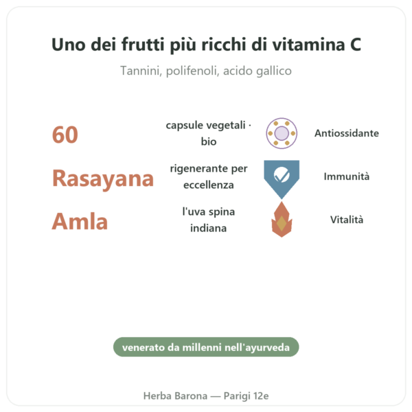 Amalaki Bio – Ayur-vana – 60 capsule benefici e dati chiave Paris Herba Barona
