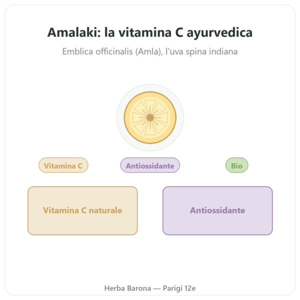 Amalaki Bio – Ayur-vana – 60 capsule presentazione Paris Herba Barona