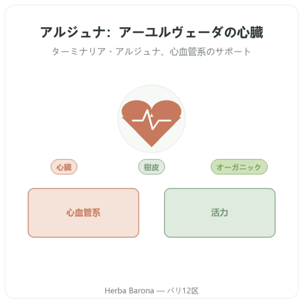 オーガニック アルジュナ – Ayur-vana – 60カプセル presentation Paris Herba Barona