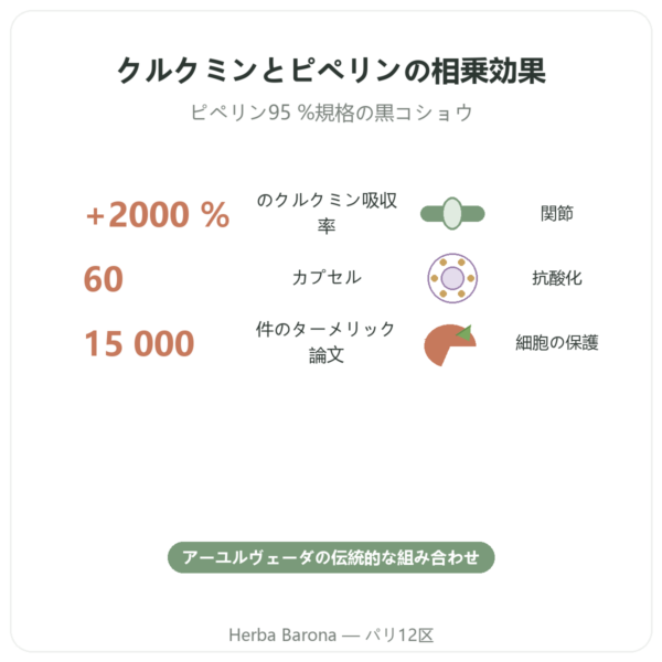 ターメリック＆ペッパー – Ayur-vana – 60カプセル benefits and key facts Paris Herba Barona