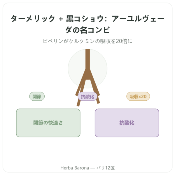 ターメリック＆ペッパー – Ayur-vana – 60カプセル presentation Paris Herba Barona