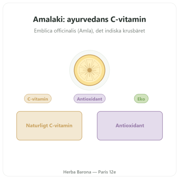 Amalaki Ekologisk – Ayur-vana – 60 kapslar presentation Paris Herba Barona