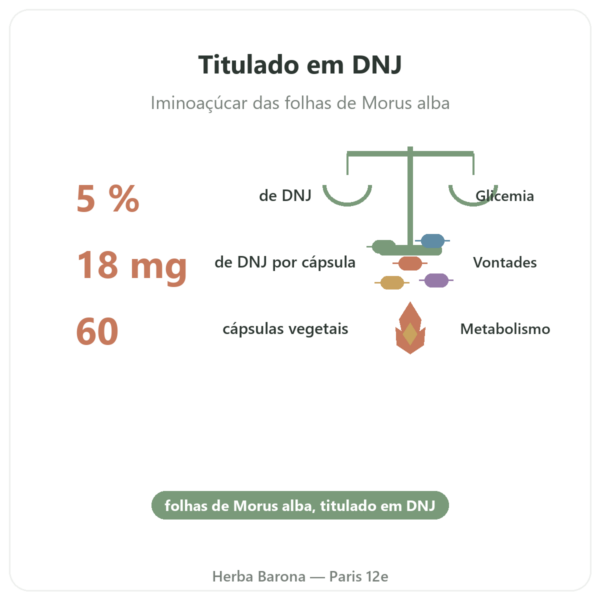 Amoreira Branca – titulada a 5% em DNJ – 60 cápsulas – DYNVEO benefícios e dados principais Paris Herba Barona