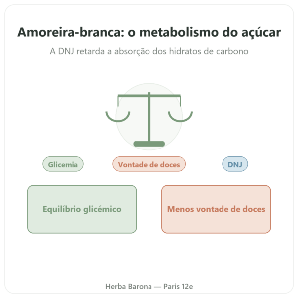 Amoreira Branca – titulada a 5% em DNJ – 60 cápsulas – DYNVEO apresentação Paris Herba Barona