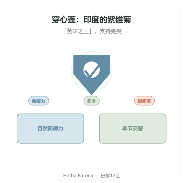 穿心莲 Andrographis – Ayur-vana – 60 粒胶囊 产品展示 Paris Herba Barona