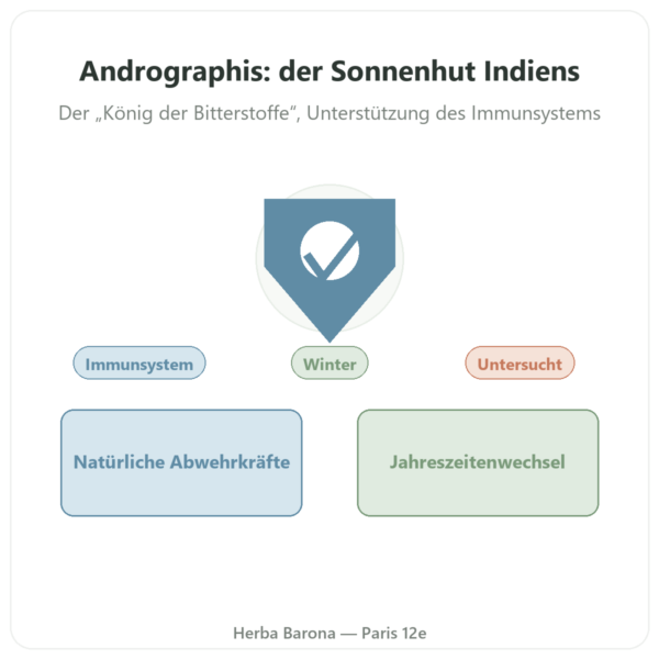 Andrographis – Ayur-vana – 60 Kapseln Vorstellung Paris Herba Barona