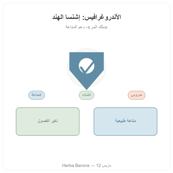 أندروغرافيس – Ayur-vana – 60 كبسولة عرض المنتج Paris Herba Barona