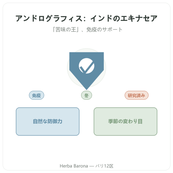 アンドログラフィス – Ayur-vana – 60カプセル presentation Paris Herba Barona
