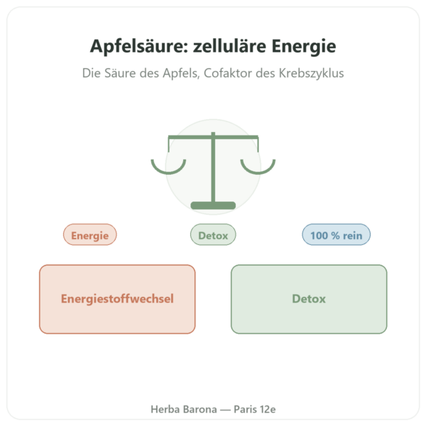 Apfelsäure Pulver – 500 g – Nature et Partage Vorstellung Paris Herba Barona