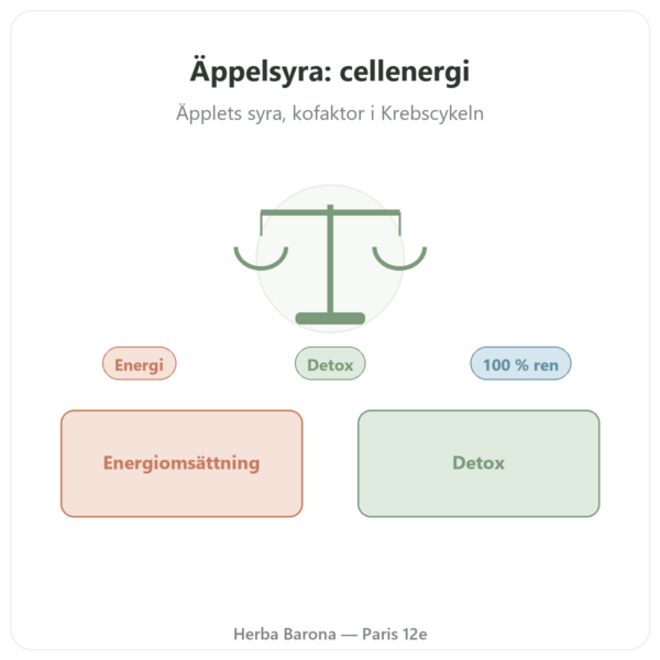 Äppelsyra Pulver 500 g – Nature et Partage presentation Paris Herba Barona