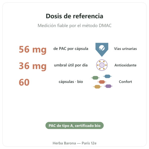 Arándano Rojo BIO (Cranberry) Dynveo 56 mg PACs – 60 cápsulas beneficios y datos clave Paris Herba Barona