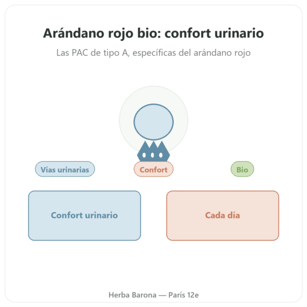 Arándano Rojo BIO (Cranberry) Dynveo 56 mg PACs – 60 cápsulas presentación Paris Herba Barona