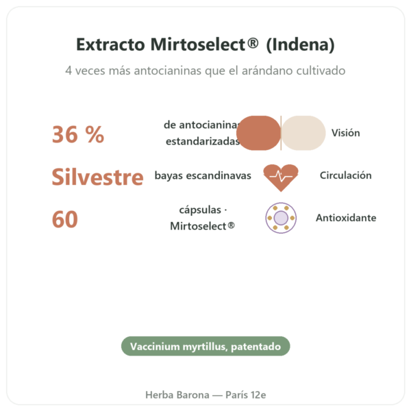 Arándano silvestre extracto – Dynveo – 60 cápsulas beneficios y datos clave Paris Herba Barona