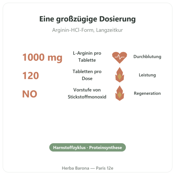 Arginin – 1000 mg – Now Foods – 120 Tabletten Vorteile und Fakten Paris Herba Barona