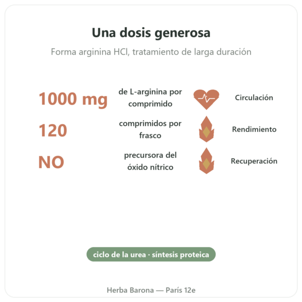 Arginina – 1.000 mg – NOW Foods – 120 Comprimidos beneficios y datos clave Paris Herba Barona
