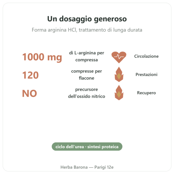 Arginina – 1.000 mg – Now Foods – 120 compresse benefici e dati chiave Paris Herba Barona