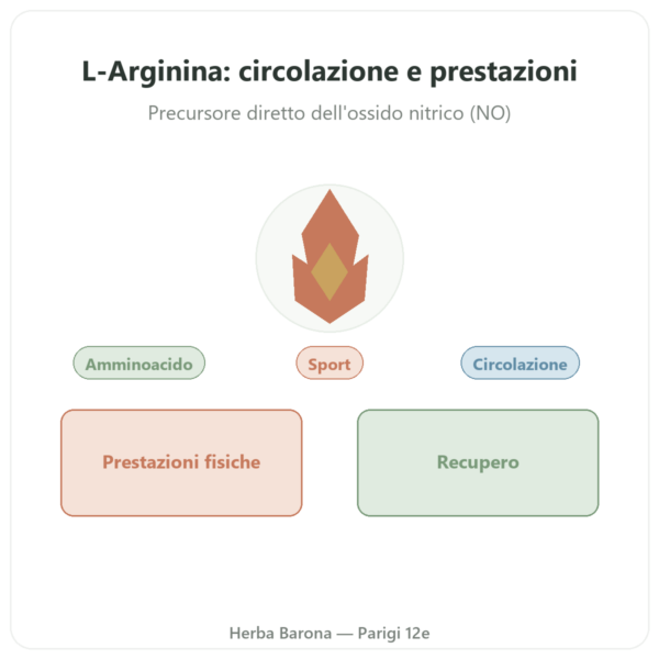 Arginina – 1.000 mg – Now Foods – 120 compresse presentazione Paris Herba Barona