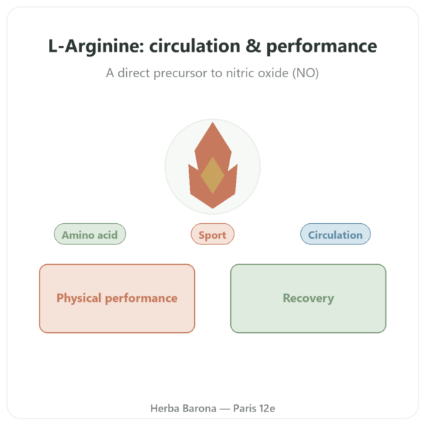 Arginine – 1,000 mg – Now Foods – 120 tablets presentation Paris Herba Barona
