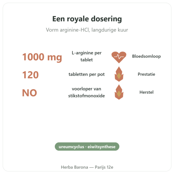Arginine – 1000 mg – Now Foods – 120 tabletten voordelen en kerngegevens Paris Herba Barona