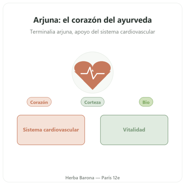 Arjuna Bio – Ayur-vana – 60 Cápsulas presentación Paris Herba Barona