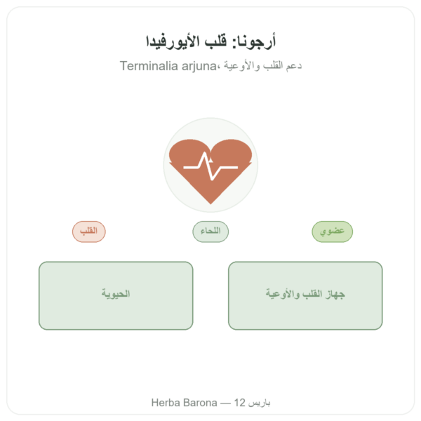 أرجونا عضوي – Ayur-vana – 60 كبسولة عرض المنتج Paris Herba Barona