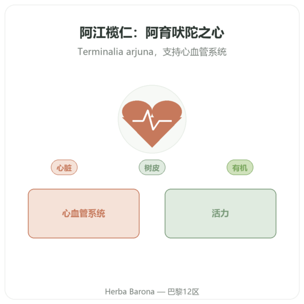 有机阿江榄仁 – Ayur-vana – 60粒胶囊 产品展示 Paris Herba Barona