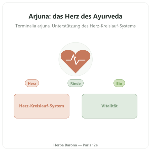 Arjuna Bio – Ayur-vana – 60 Kapseln Vorstellung Paris Herba Barona