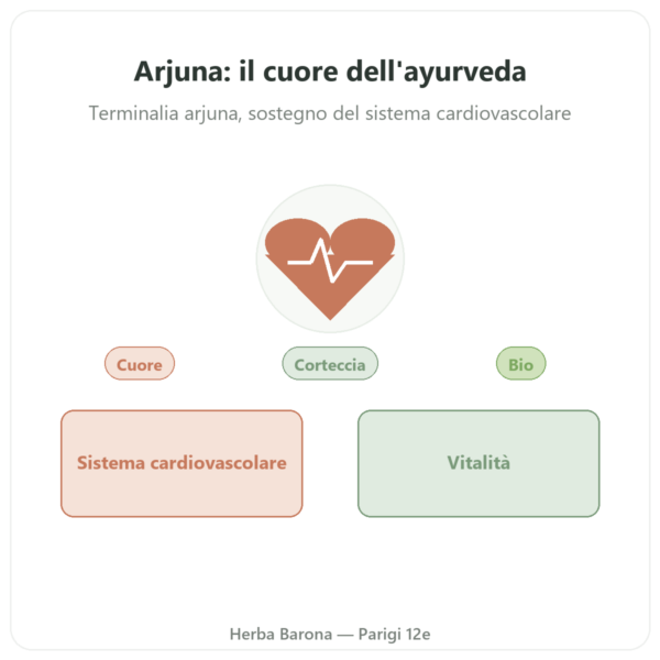 Arjuna Bio – Ayur-vana – 60 capsule presentazione Paris Herba Barona