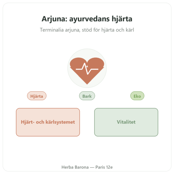 Arjuna Ekologisk – Ayur-vana – 60 kapslar presentation Paris Herba Barona