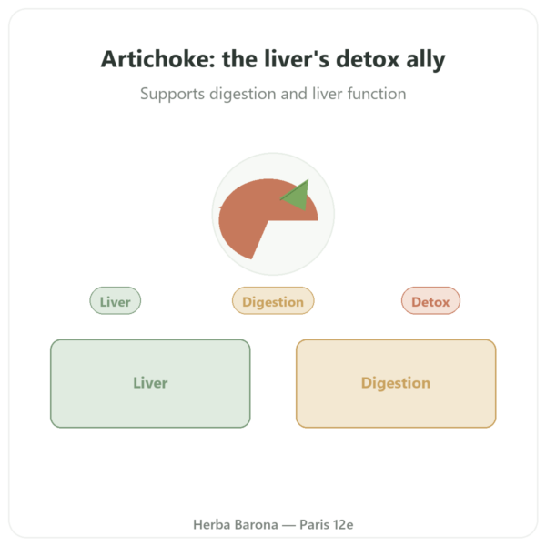 Artichoke Extract 500mg (5% Cynarin) - Dynveo - 60 capsules presentation Paris Herba Barona