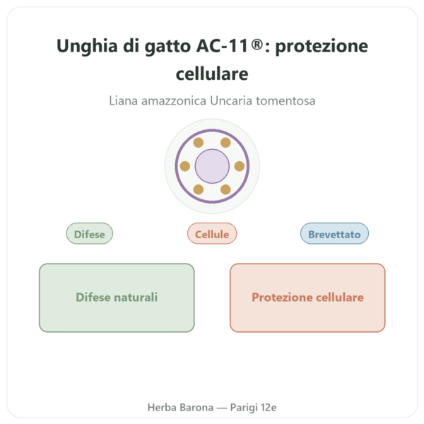 Artiglio del gatto AC-11® – Dynveo – 350 mg – 60 capsule presentazione Paris Herba Barona