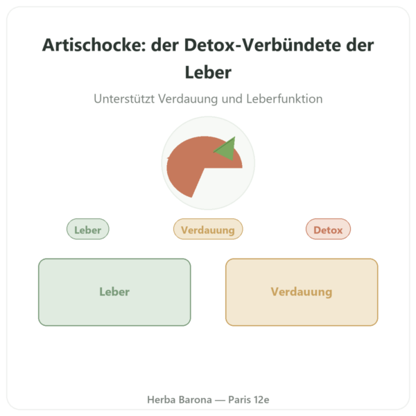 Artischocken-Extrakt 5 % Cynarin – Dynveo – 500 mg – 60 Kapseln Vorstellung Paris Herba Barona
