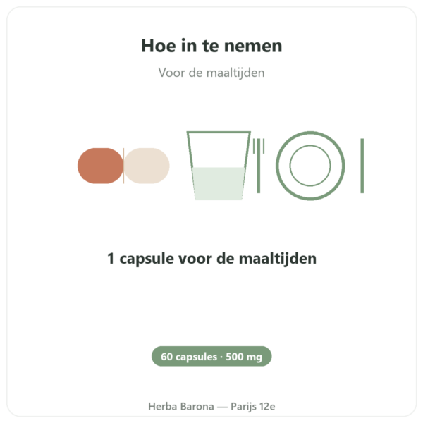 Artisjok 500 mg (5% cynarine) 60 capsules – Dynveo gebruiksaanwijzing en dosering Paris Herba Barona