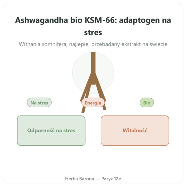 Ashwagandha bio KSM-66 5% witanolidów Dynveo 60 kaps. prezentacja Paris Herba Barona