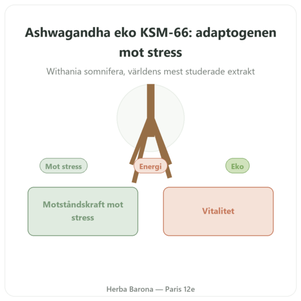 Ekologisk Ashwagandha KSM-66 5 % Withanolider Dynveo 60 kapslar presentation Paris Herba Barona