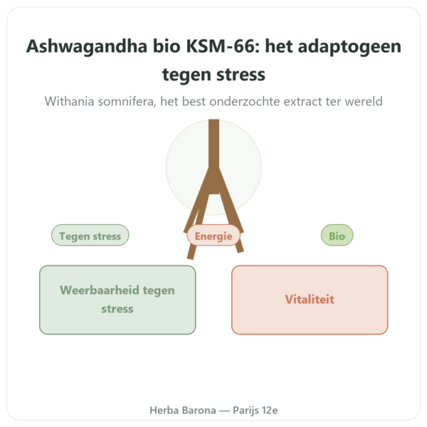 Ashwagandha bio KSM-66 5% Dynveo 60 capsules presentatie Paris Herba Barona