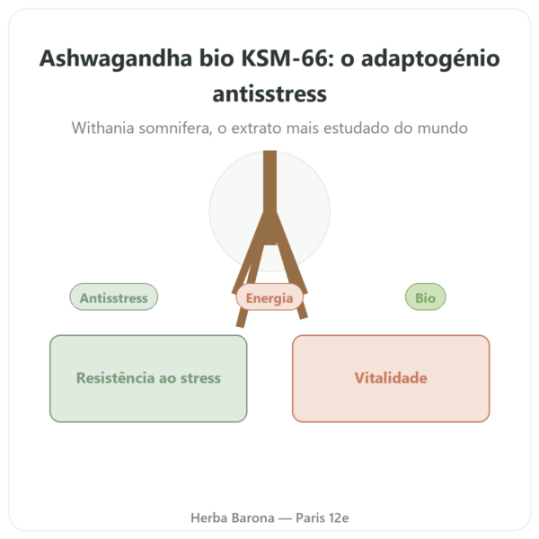 Ashwagandha bio KSM-66 5% em Withanolidos Dynveo 60 cápsulas apresentação Paris Herba Barona